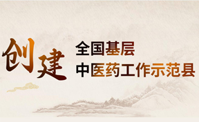 創建全國基層中醫藥工作示范縣